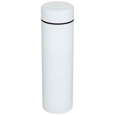 Gourde Taylor en acier inoxydable à double paroi de 450 ml avec filtre à thé