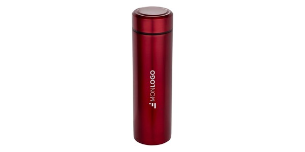 Gourde Taylor en acier inoxydable à double paroi de 450 ml avec filtre à thé