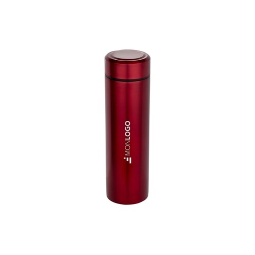 Gourde Taylor en acier inoxydable à double paroi de 450 ml avec filtre à thé
